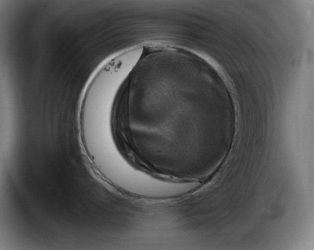 X0000085770864200703301401