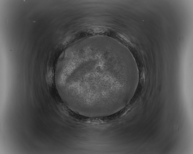 X0000085770866200703301400