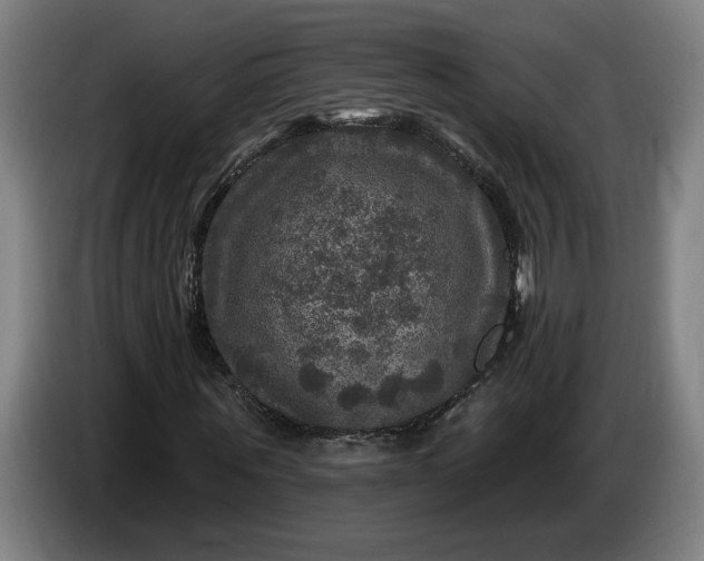 X0000085770867200703301400