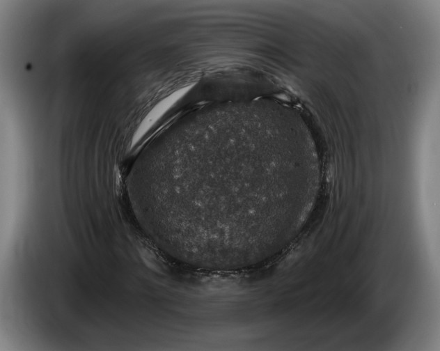 X0000085770868200703301400