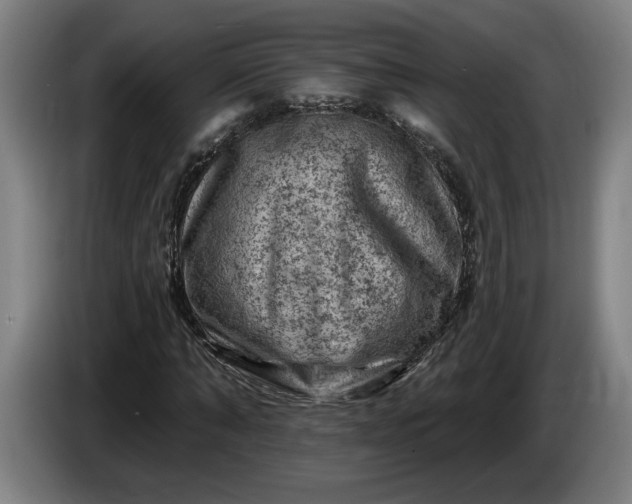 X0000085770870200703301400