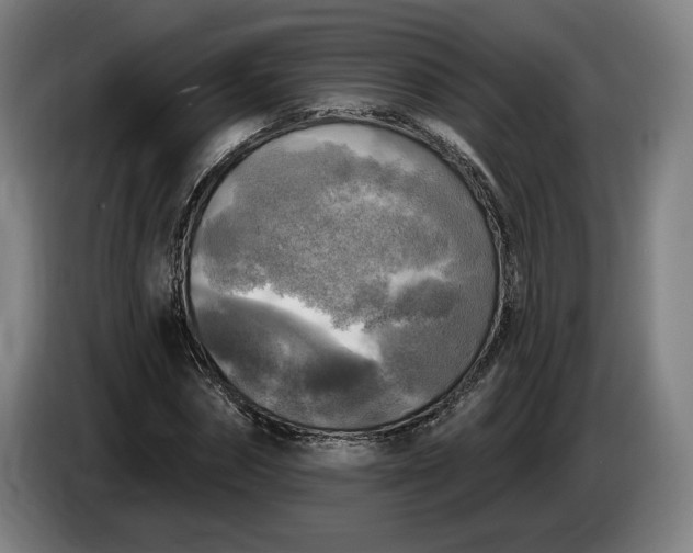 X0000085770874200703301400