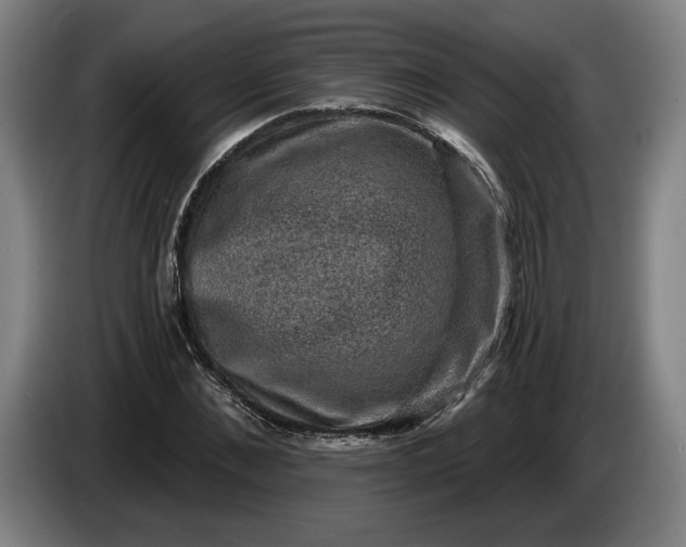 X0000085770876200703301400