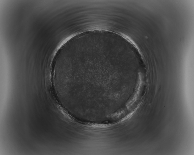 X0000085770877200703301400