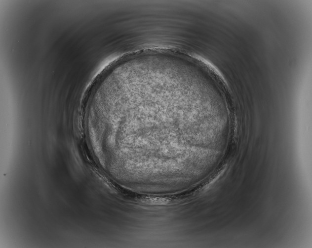 X0000085770878200703301400