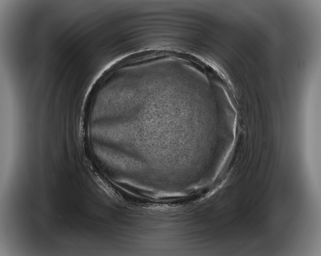 X0000085770880200703301400