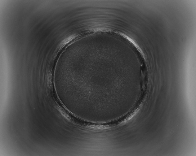 X0000085770881200703301400