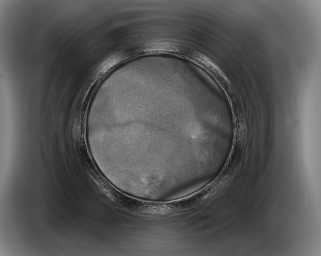 X0000085770882200703301400