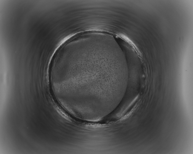 X0000085770884200703301400