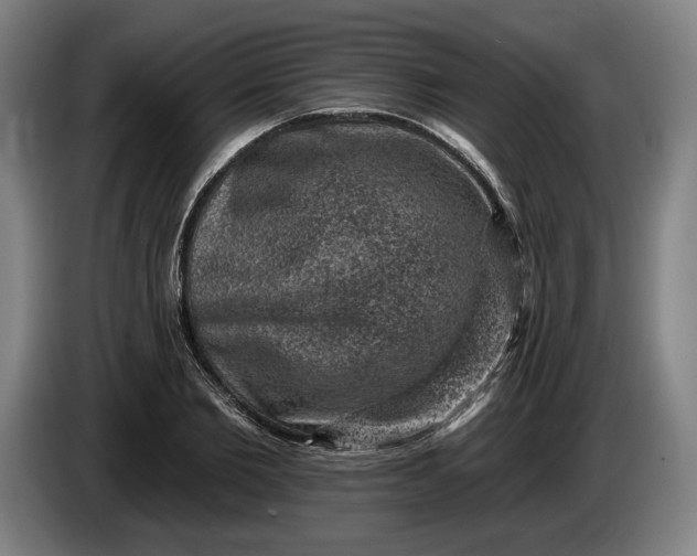 X0000085770885200703301400