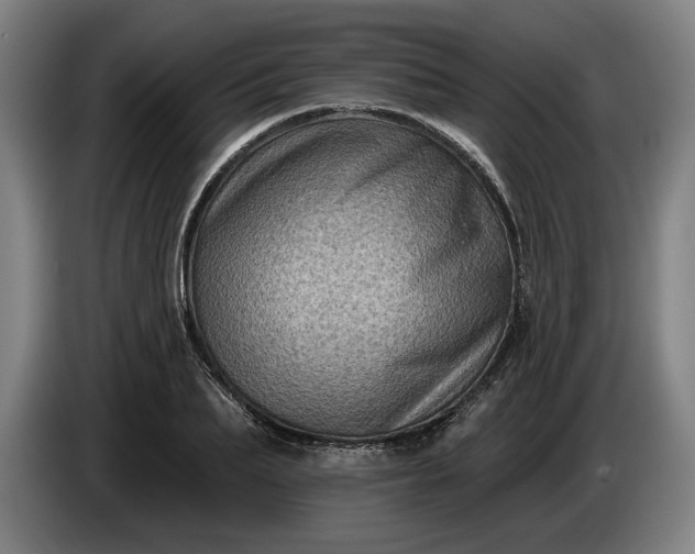 X0000085770887200703301400