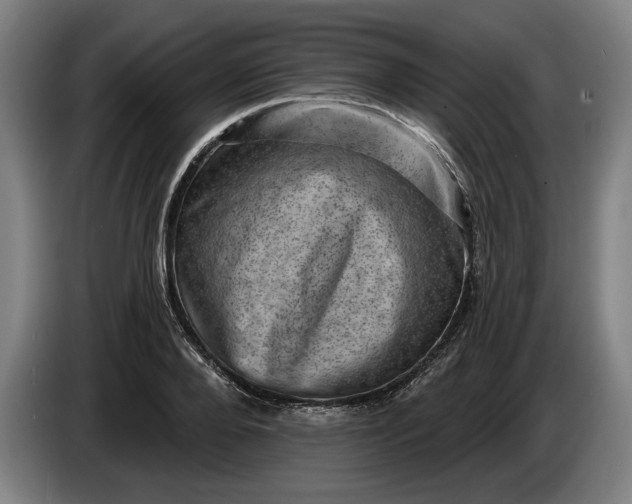 X0000085770888200703301400