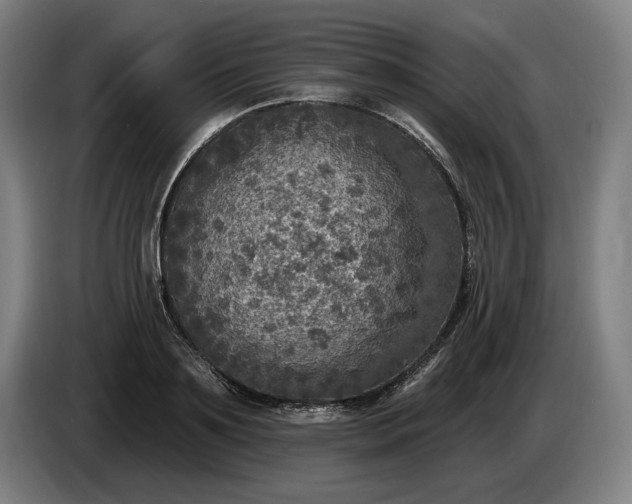 X0000085770891200703301400