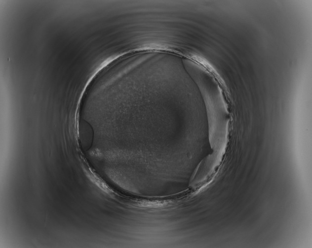 X0000085770892200703301400