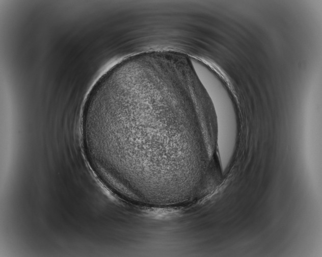 X0000085770894200703301400