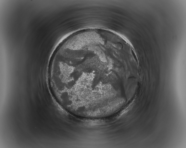 X0000085770895200703301400