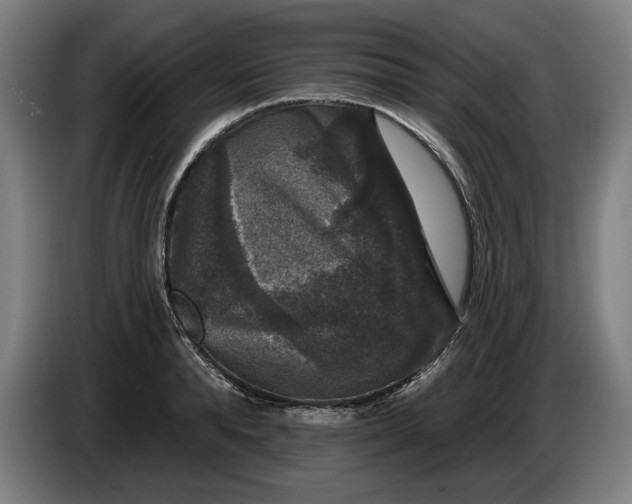 X0000085770896200703301400