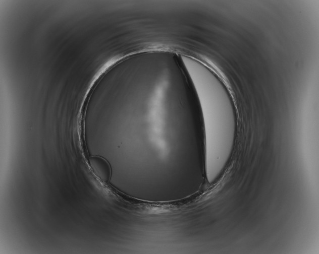 X0000085770899200703301400