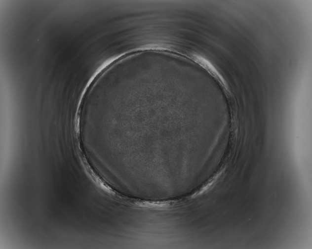 X0000085770900200703301400