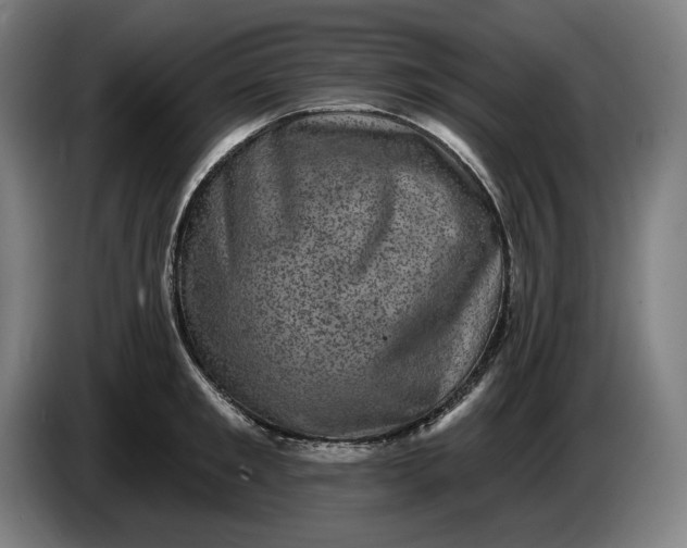 X0000085770901200703301400