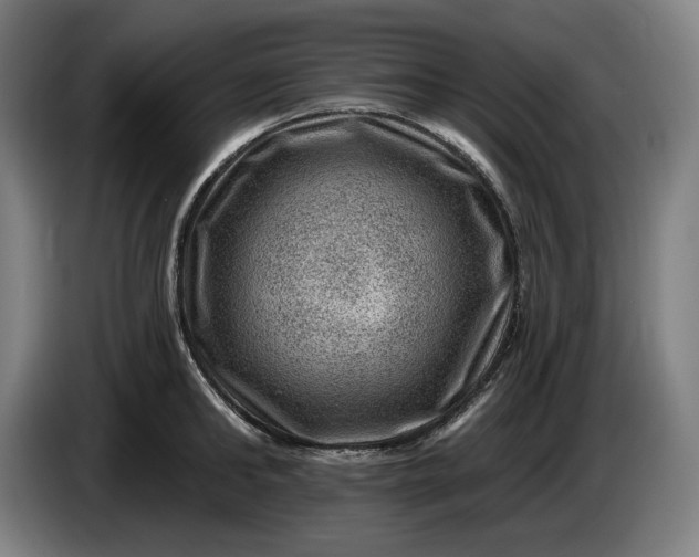 X0000085770902200703301400