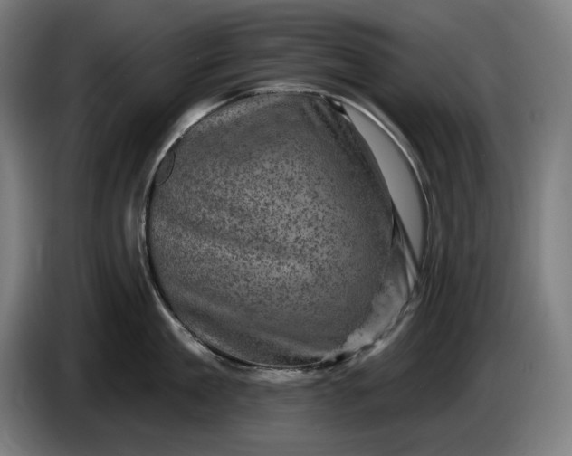 X0000085770909200703301400