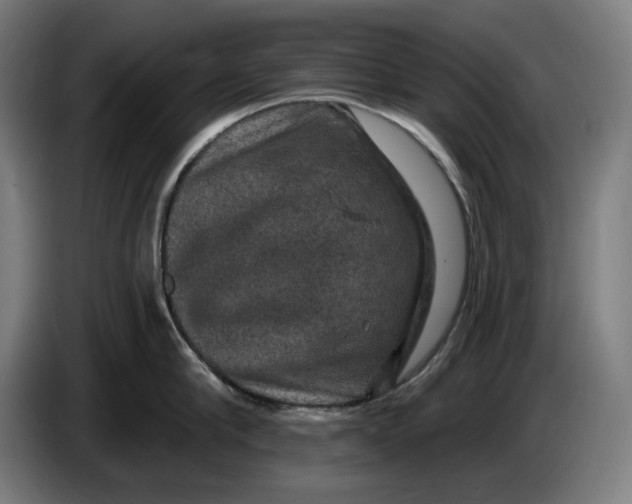 X0000085770910200703301400