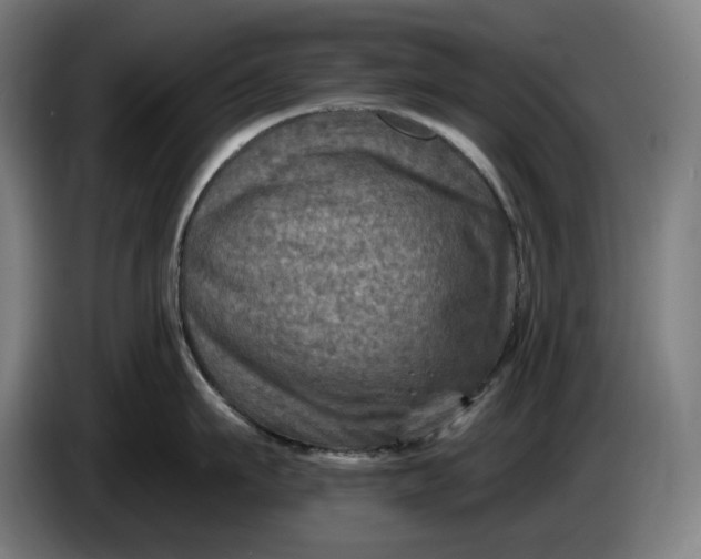 X0000085770911200703301400