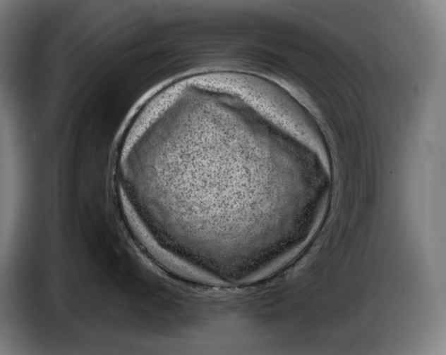 X0000085770912200703301400