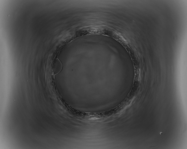 X0000085770913200703301359