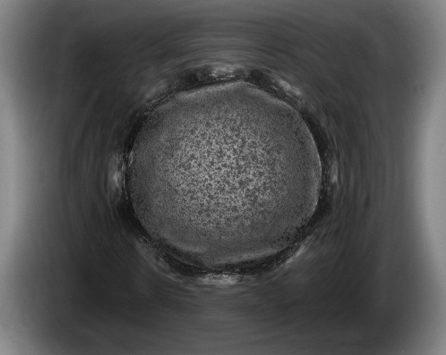 X0000085770914200703301359