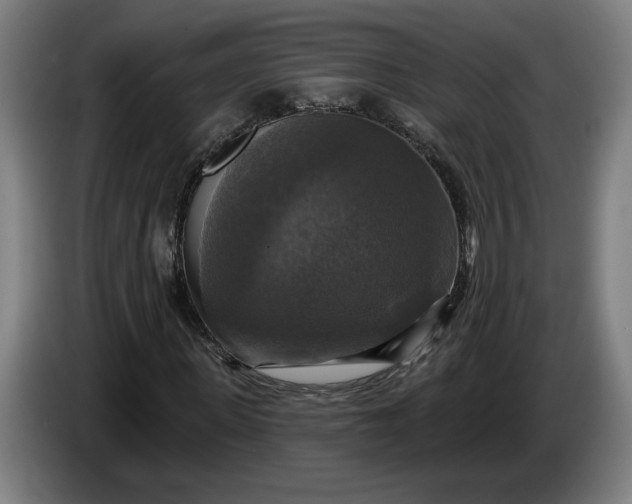 X0000085770915200703301359