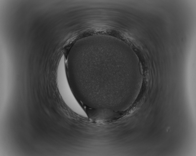 X0000085770916200703301359