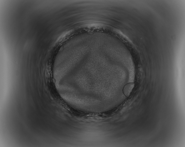 X0000085770918200703301359