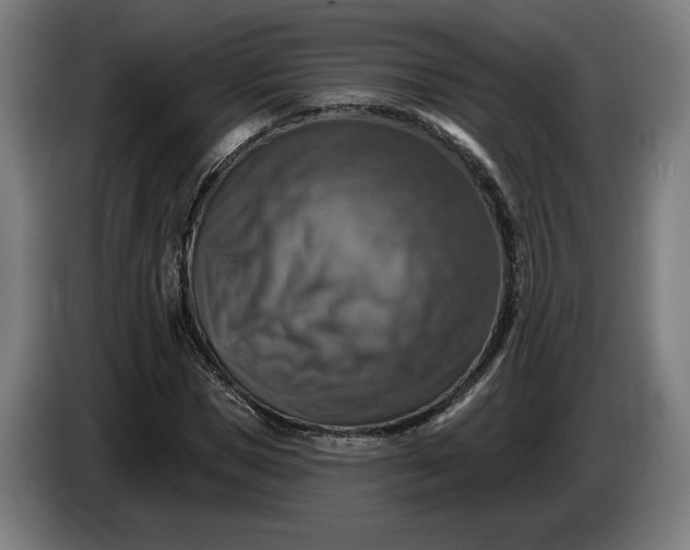 X0000085770921200703301359