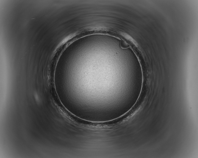 X0000085770922200703301359