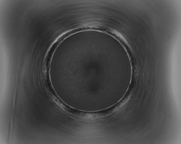 X0000085770923200703301359