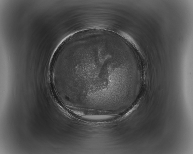 X0000085770924200703301359