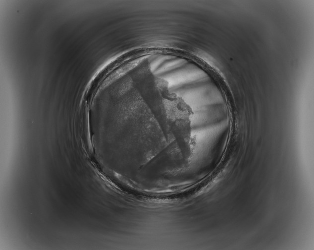 X0000085770925200703301359