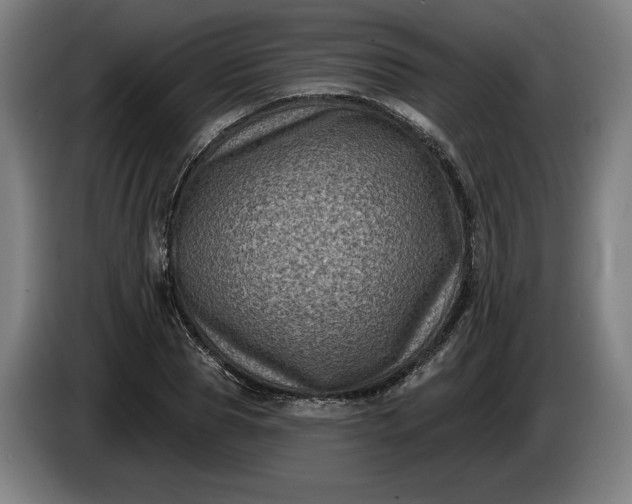 X0000085770929200703301359