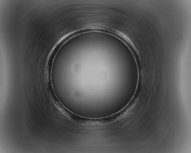 X0000085770931200703301359