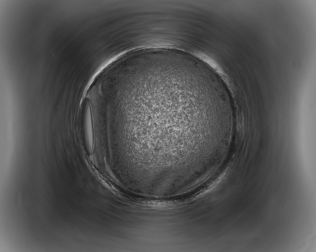 X0000085770933200703301359