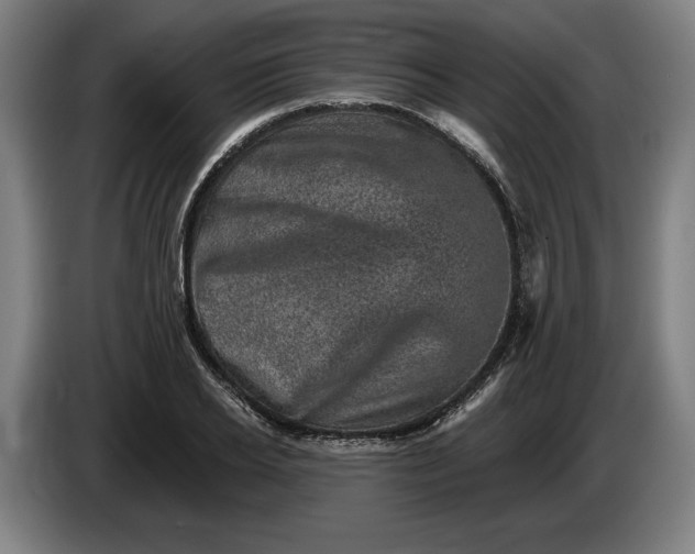 X0000085770934200703301359