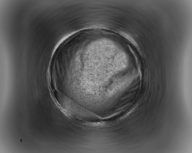 X0000085770936200703301359