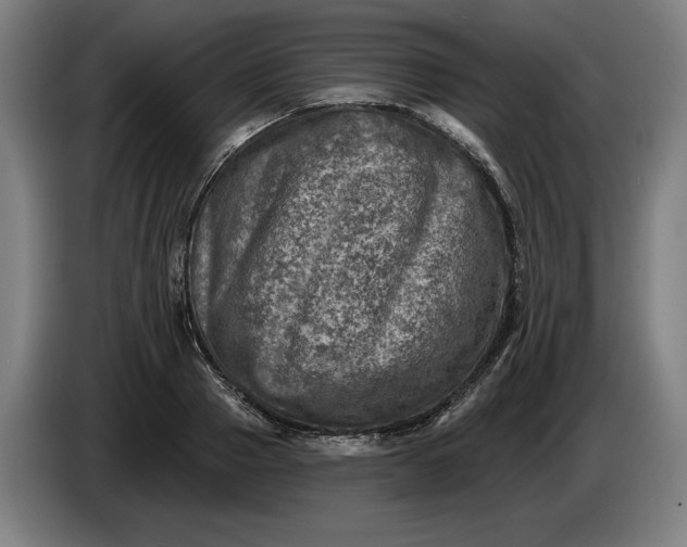 X0000085770937200703301359