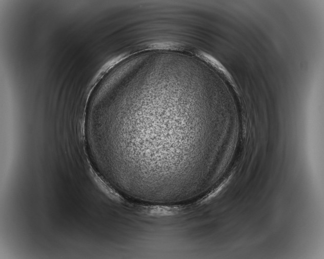 X0000085770938200703301359