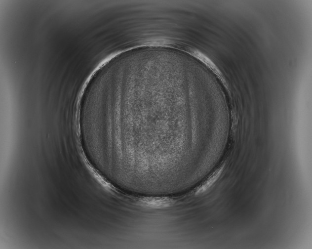 X0000085770939200703301359