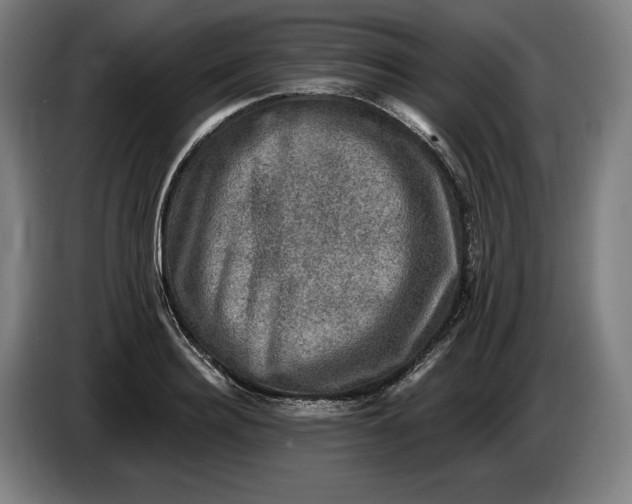 X0000085770940200703301359