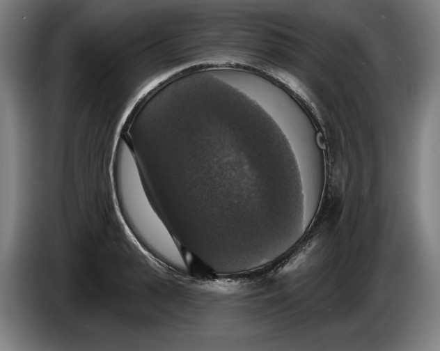 X0000085770943200703301359