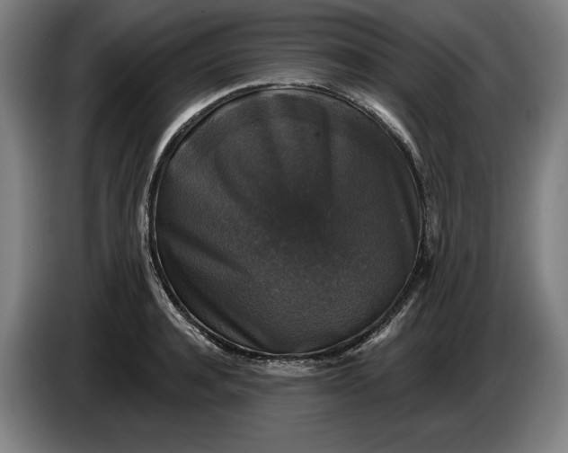 X0000085770944200703301359